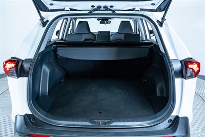 2019 Toyota Rav4 - Thumbnail