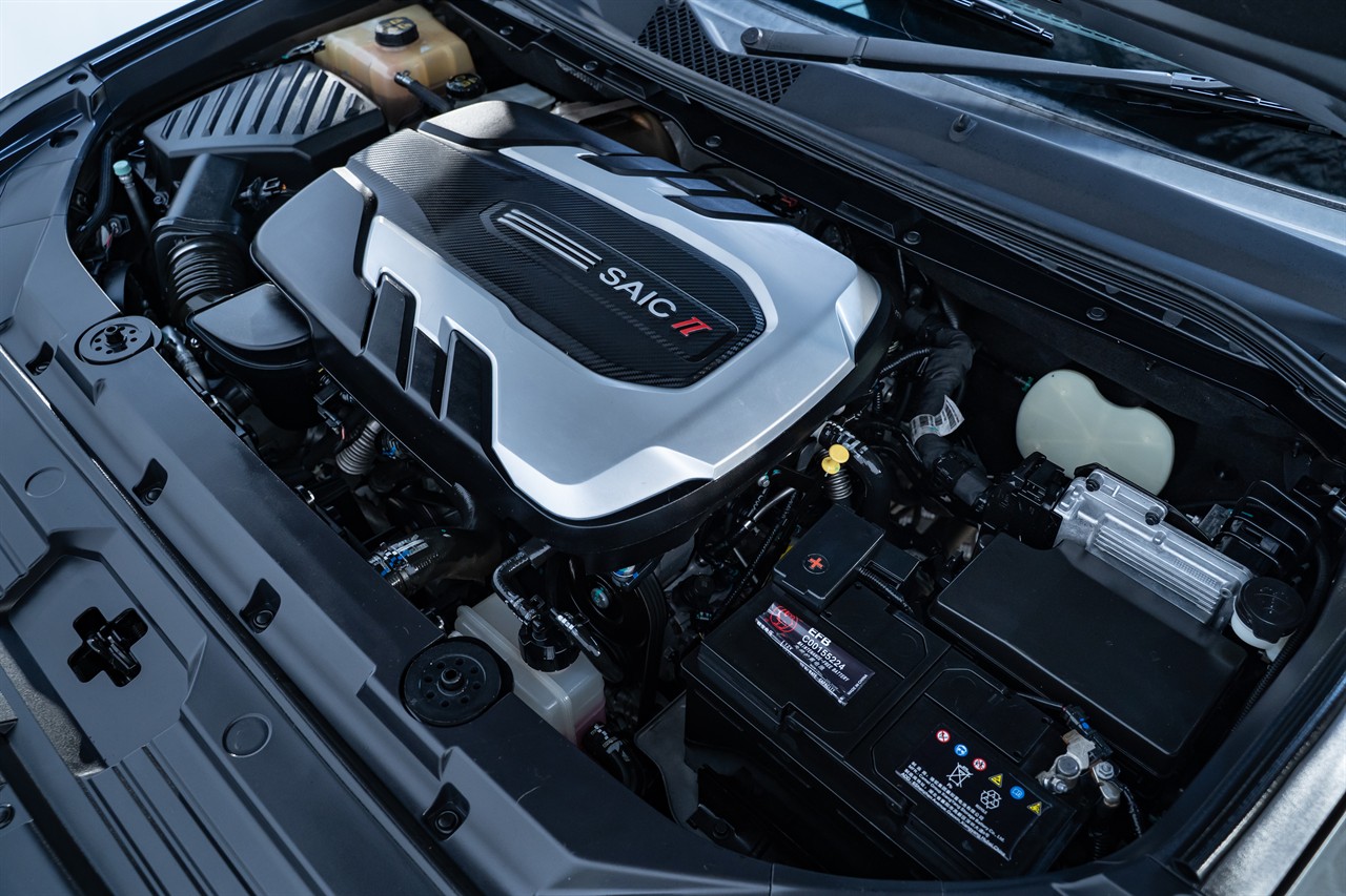 2021 LDV D90