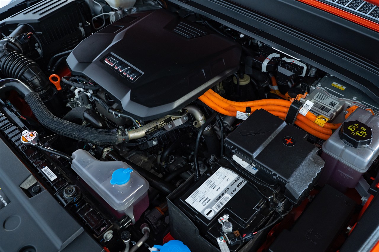 2024 GWM TANK 300