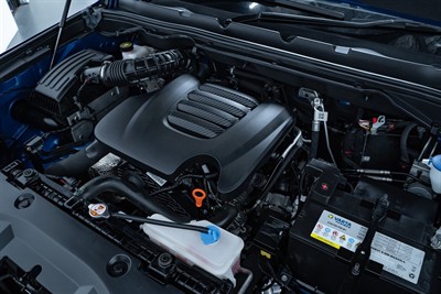 2022 GWM Cannon - Thumbnail