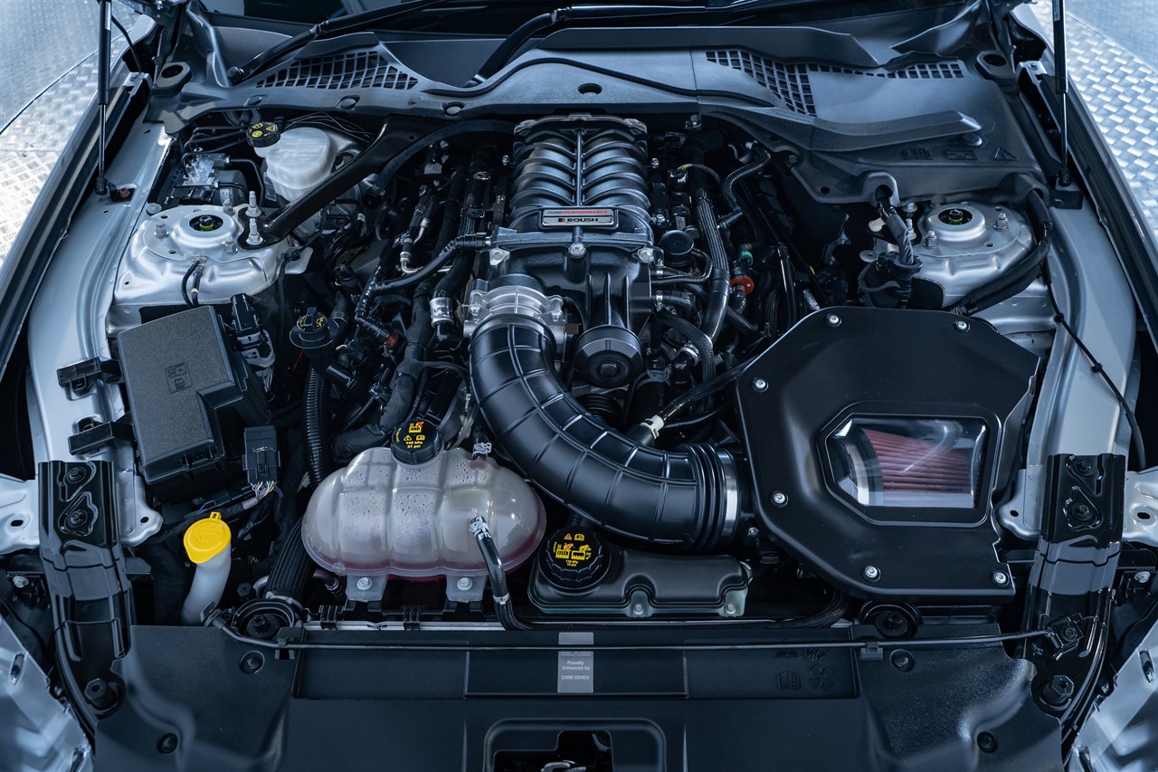 2019 Ford Mustang